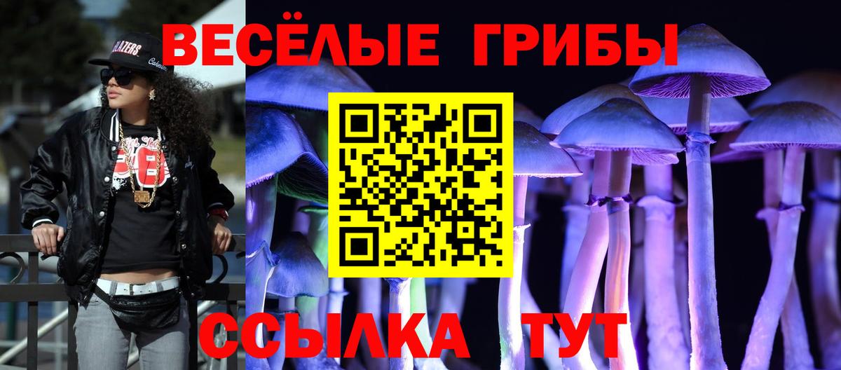 Псилоцибиновые грибы Cubensis Баксан